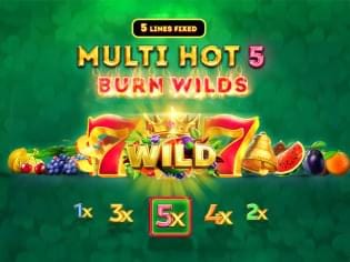 Multi Hot 5 Burn Wilds game icon